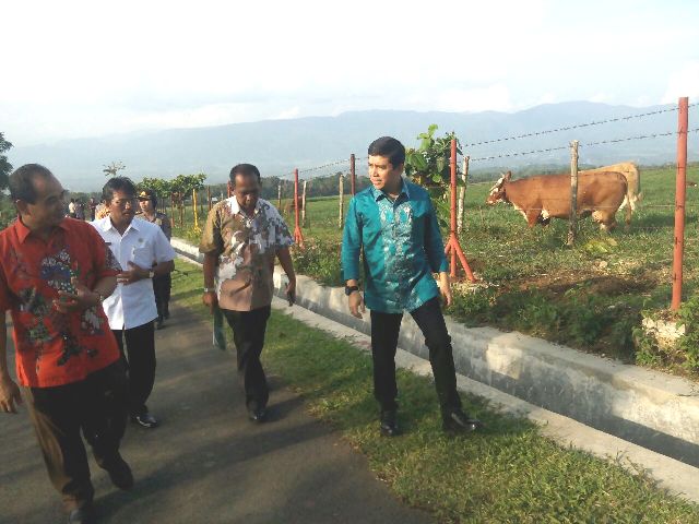 20160408 sambangi sapi