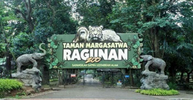 20190607 Ragunan