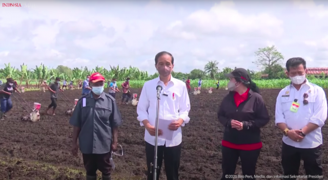 20211005 Miliki Potensi Besar Presiden Jokowi Minta Produktivitas Pertanian di Papua Barat Ditingkatkan