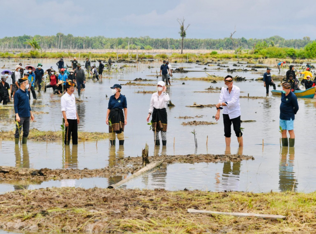 20211021 Presiden Jokowi Tanam Mangrove Bersama Dubes dan Masyarakat di Tana Tidung