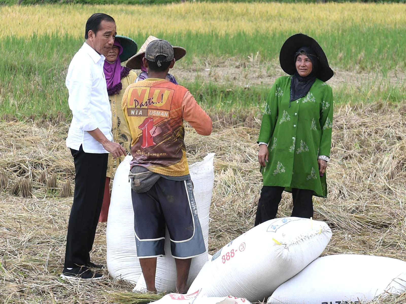 20230307 Presiden Jokowi Hampiri Petani yang Sedang Panen Cek Langsung Harga Gabah
