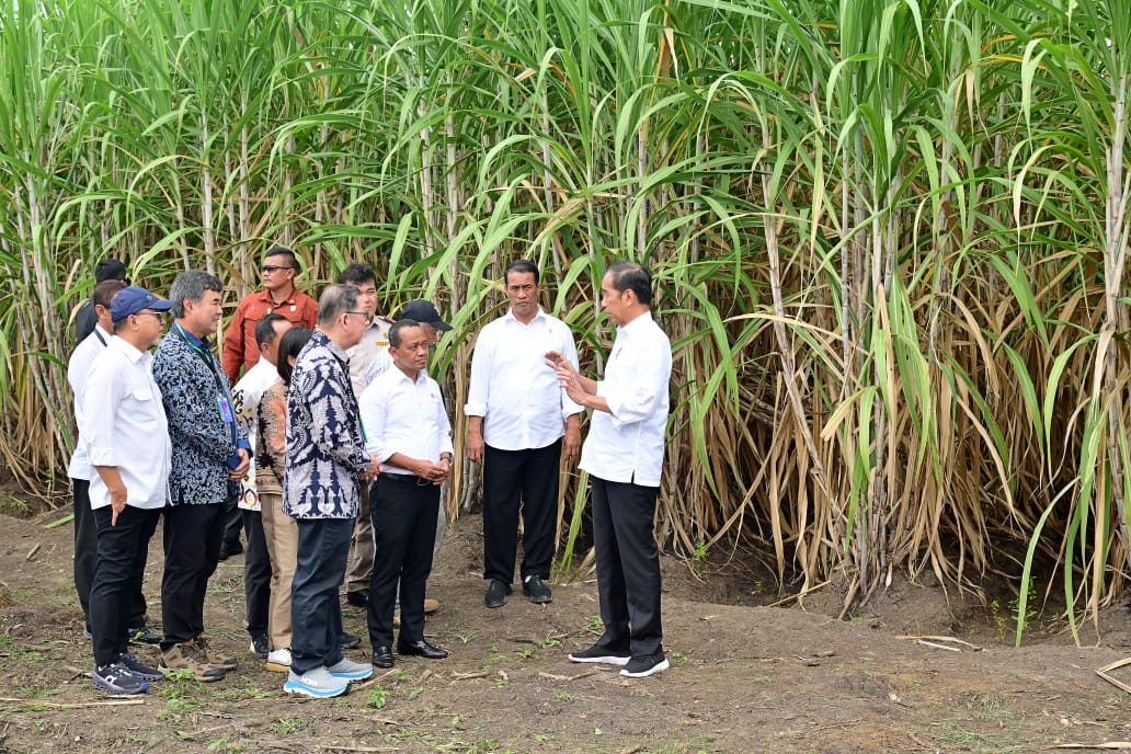 20240724 Tanam Tebu Perdana di Merauke Presiden Pemerintah Fokus Kembangkan Ketahanan Pangan