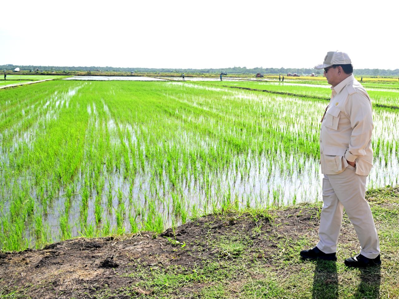 20241203 Dukung Swasembada Pangan Bapanas Perkuat Stok Cadangan Pangan Pemerintah
