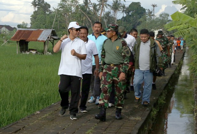 jalan di subak