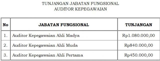 20170303 auditor kepegawaian