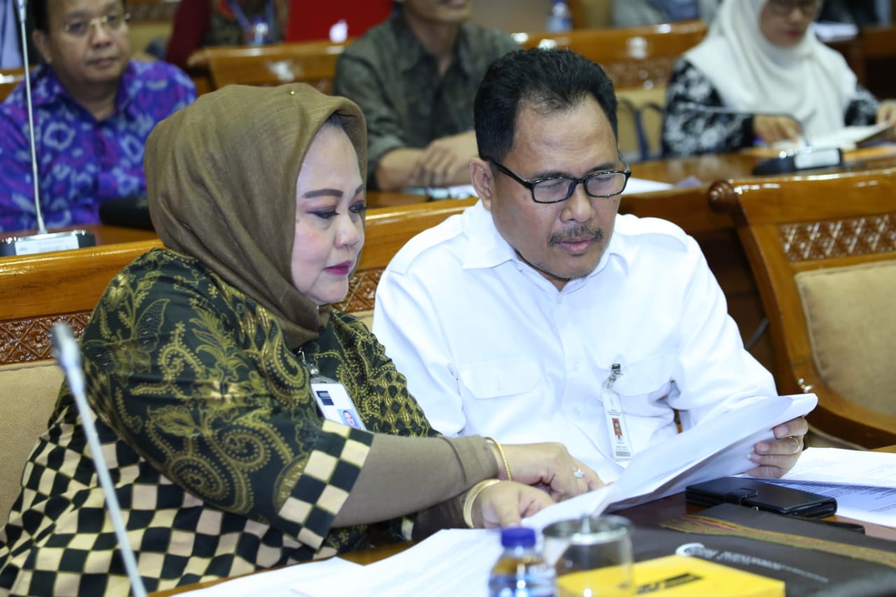 20190625 Rapat kerja dengan Komisi X DPR RI 4
