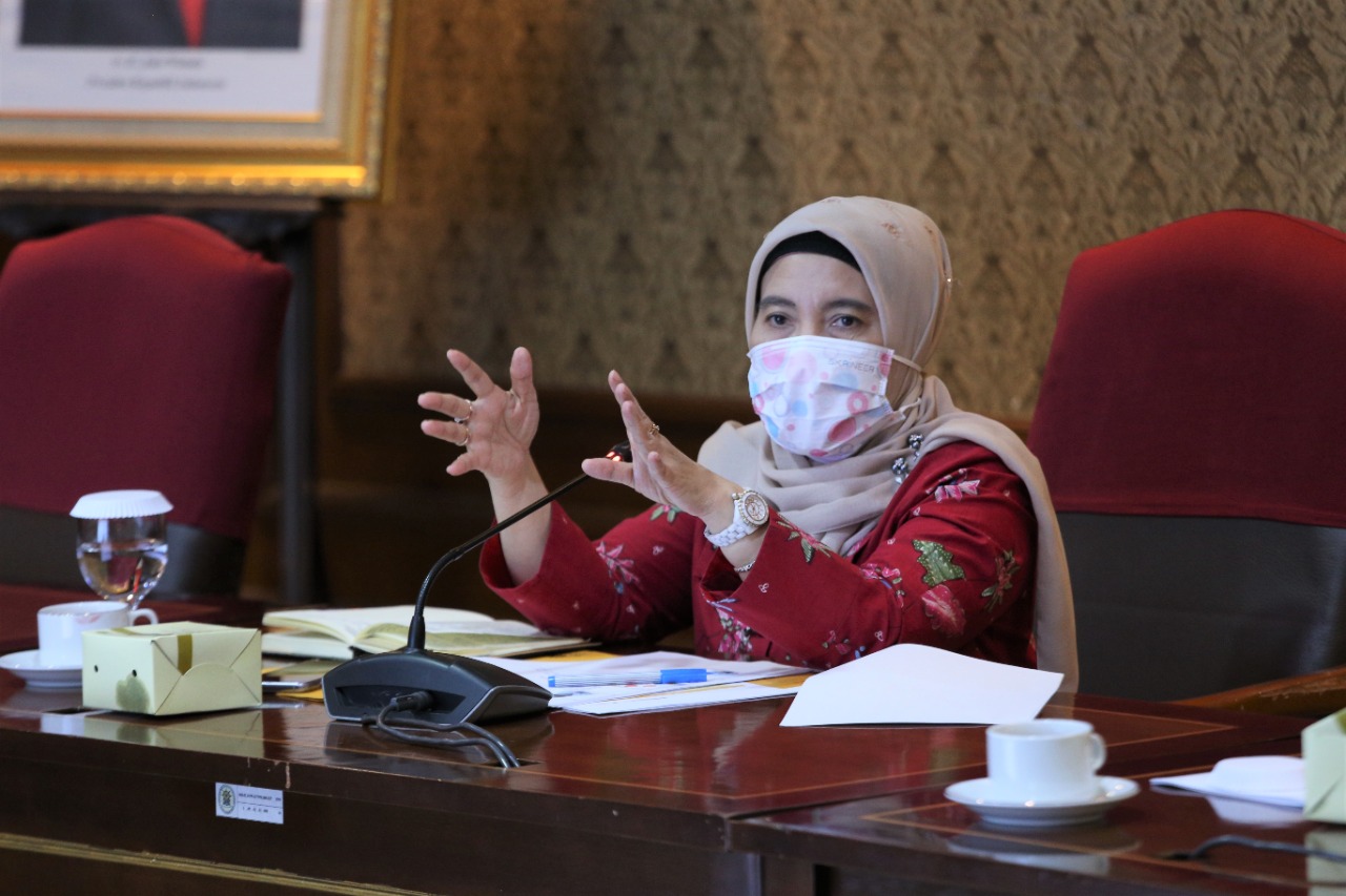 20200619 Sosialisasi Pengenalan JF Perencana 4