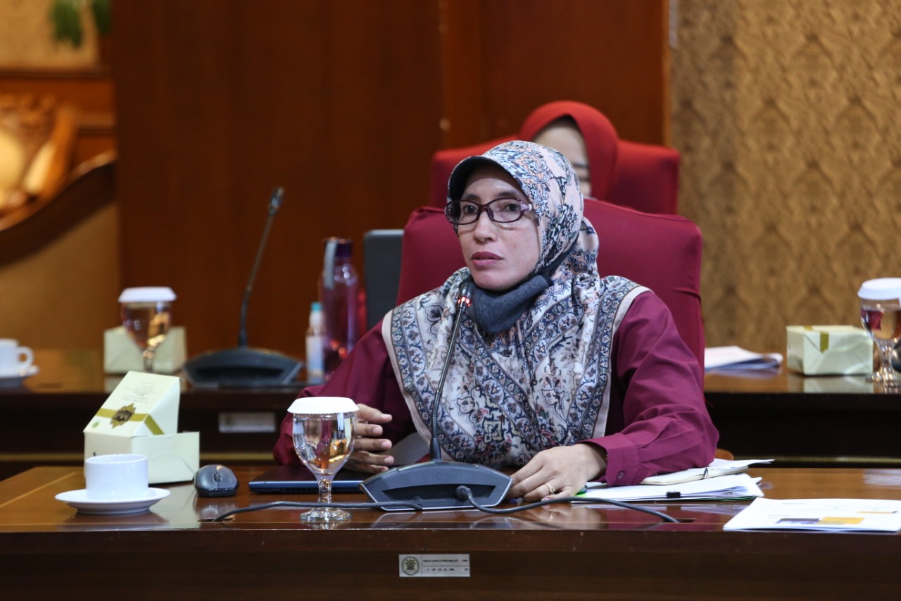 20200619 Sosialisasi Pengenalan Jabatan Fungsional Perencana beserta Angka Kreditnya 1