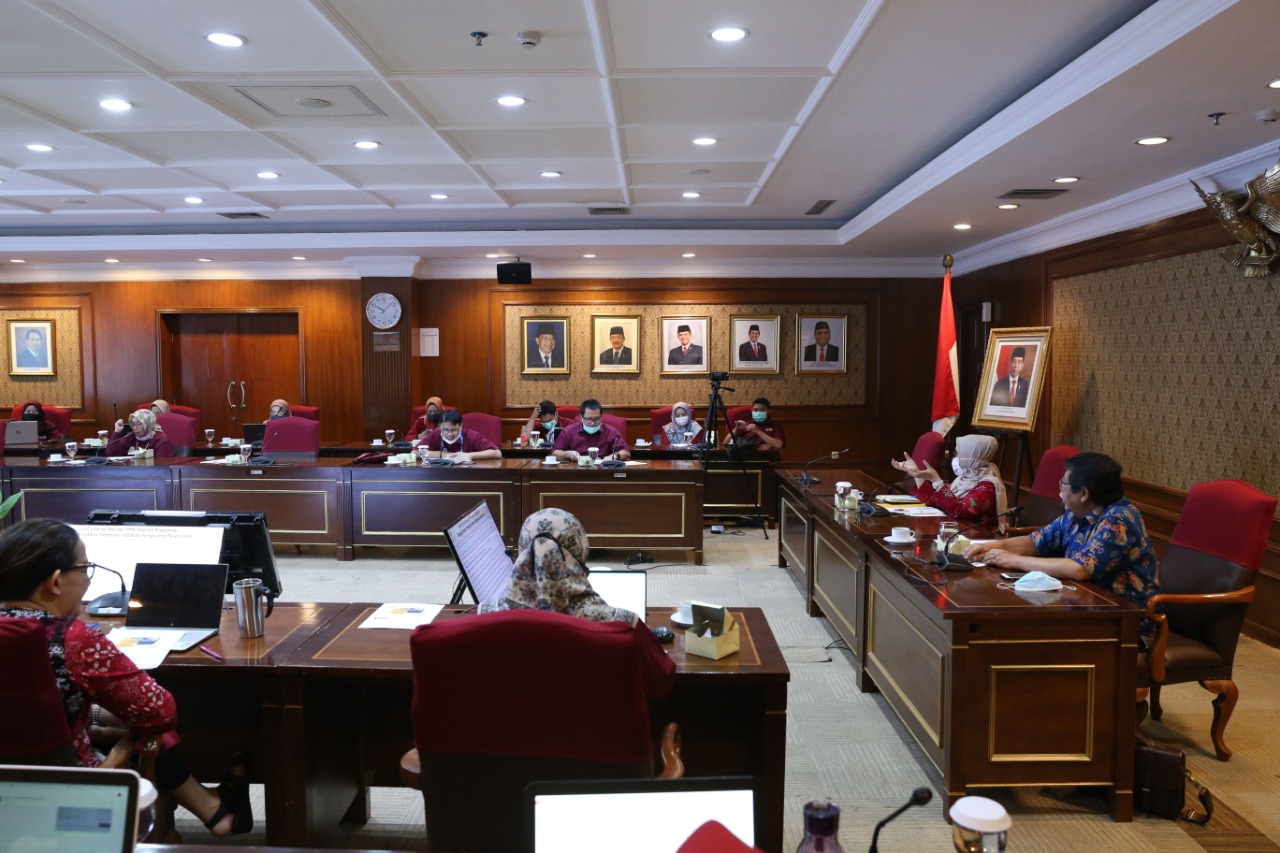 20200619 Sosialisasi Pengenalan Jabatan Fungsional Perencana beserta Angka Kreditnya 1