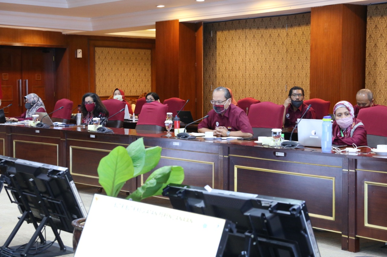 20200619 Sosialisasi Pengenalan Jabatan Fungsional Perencana beserta Angka Kreditnya 1
