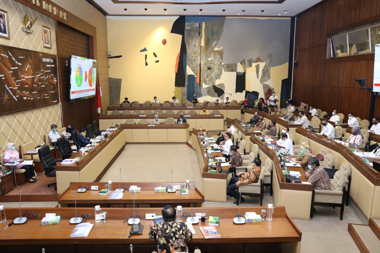 20200623 Rapat Kerja Dengan Komisi II DPR RI 1