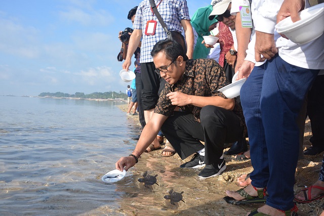 Lepas Tukik 1