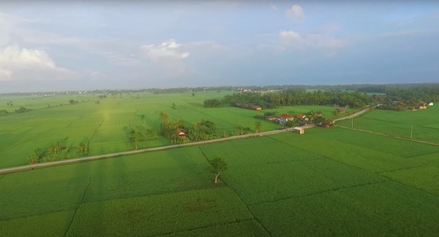 20221005 Inilah Progres Pengembangan Lumbung Pangan di Indonesia