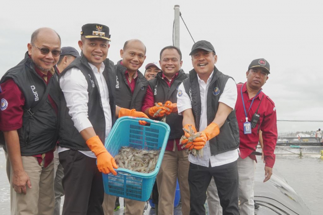 20230627 Mengenal Teknologi Tambak Udang Modern Terbesar yang Siap Dipanen Wapres Maruf Amin