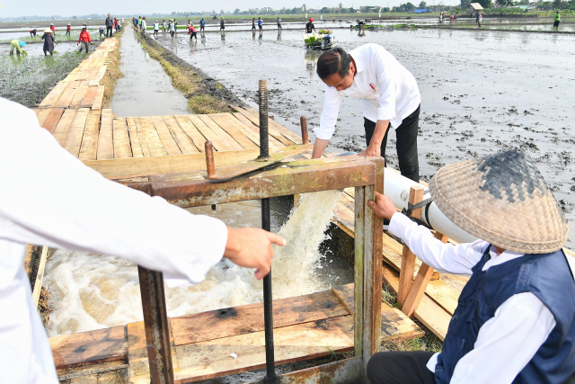 20240712 Presiden Jokowi Tinjau Pompanisasi di Lampung Selatan Dorong Produktivitas Pertanian