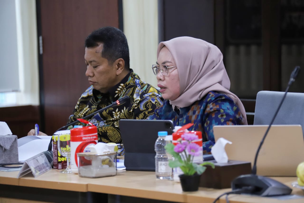 20241114 Rapat Penataan Organisasi Kemenko Bidang Perekonomian 7