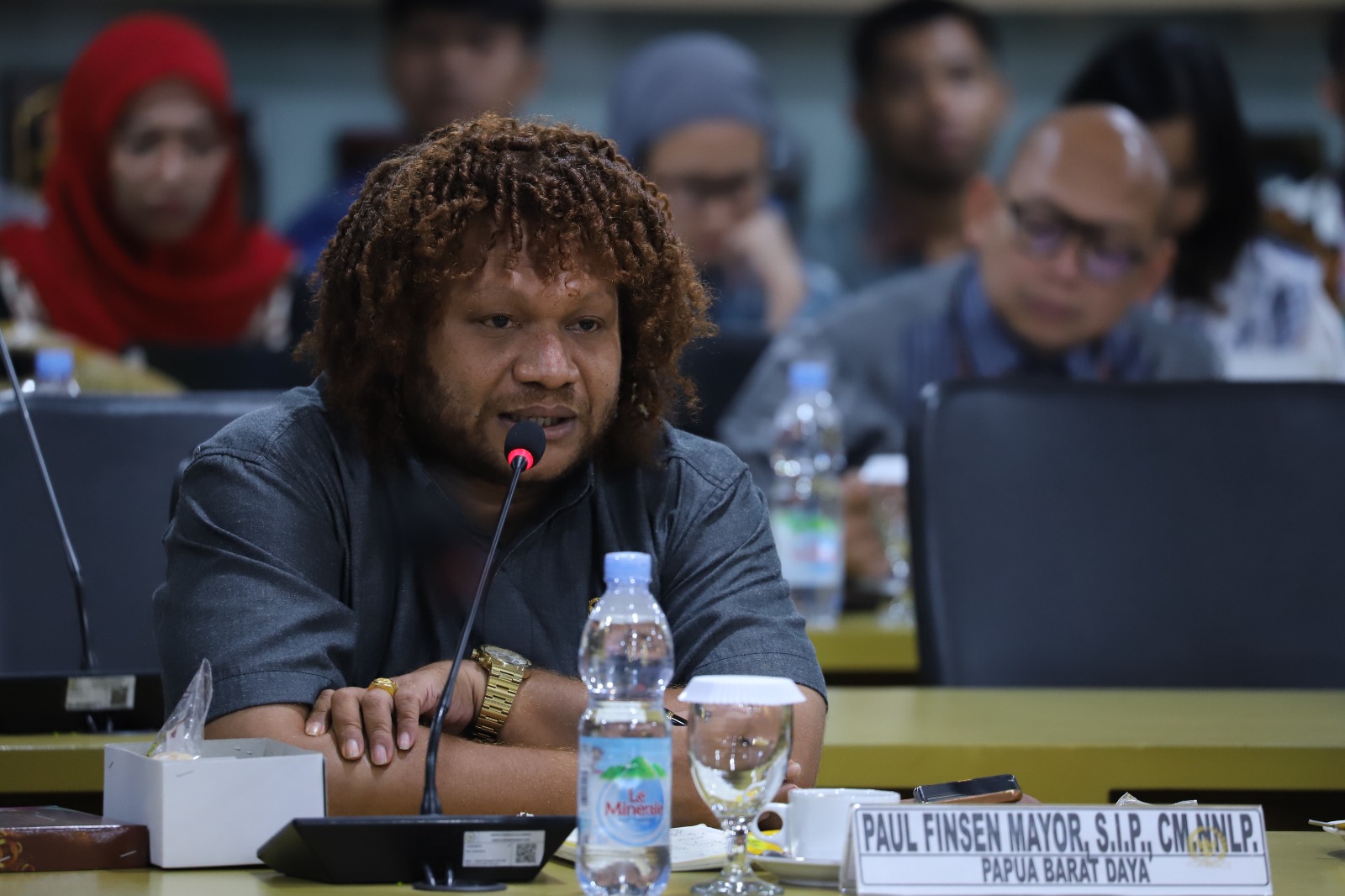 20250417 Rapat Kerja dengan Komite I DPD RI 12