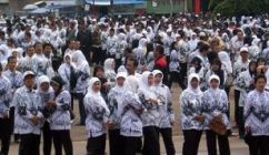 mutasi pns