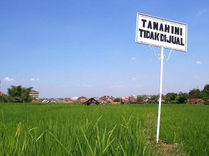 sengketa tanah