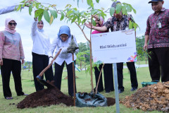Penanaman Pohon di Area Hijau Titik Nol Nusantara 20260213 Penanaman Pohon di Area Hijau Titik Nol Nusantara 10